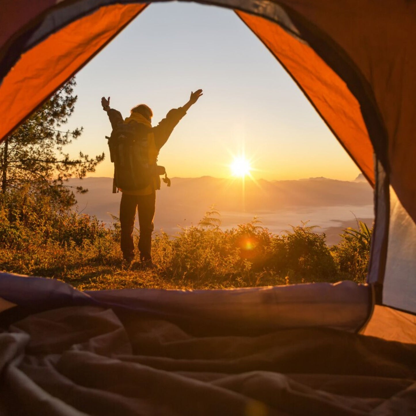 Jungle Camping