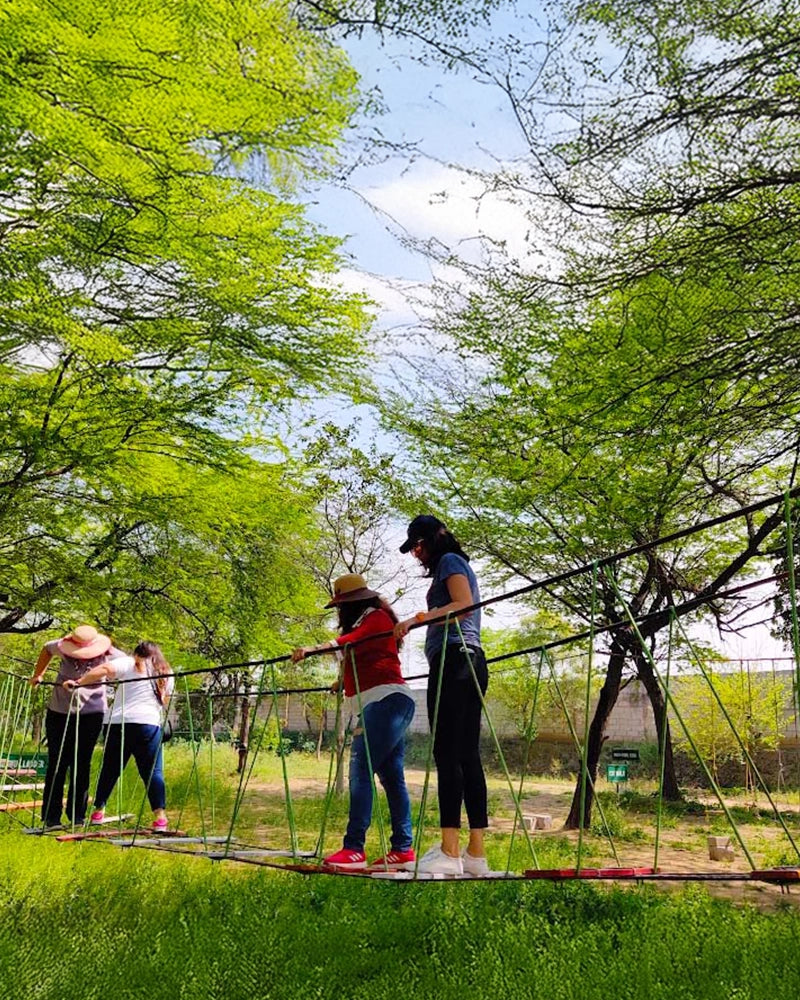 Low rope course – Adventx.life