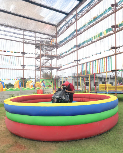 Mechanical Bull Ride