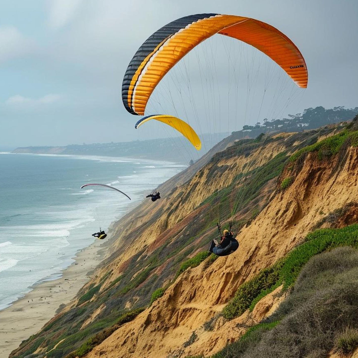 Powered Paragliding